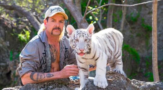 Tiger King
