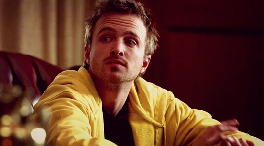 vrouw van Aaron Paul