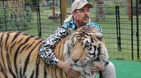 Tiger King
