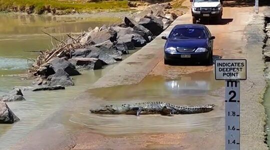 Cahills Crossing gevaarlijkste oversteekplaats ter wereld