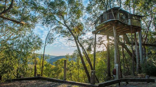 Boomhut overnachting