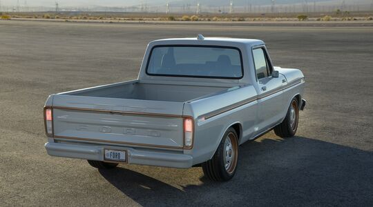 Ford F-100 Eluminator