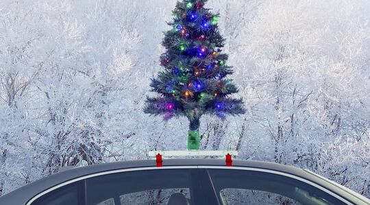 auto kerstboom