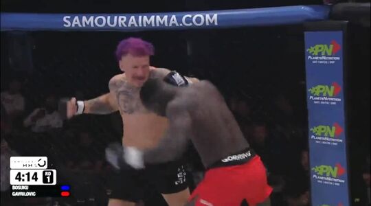 Strahinja Gavrilovic