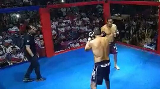 Braziliaanse politici in een kooigevecht