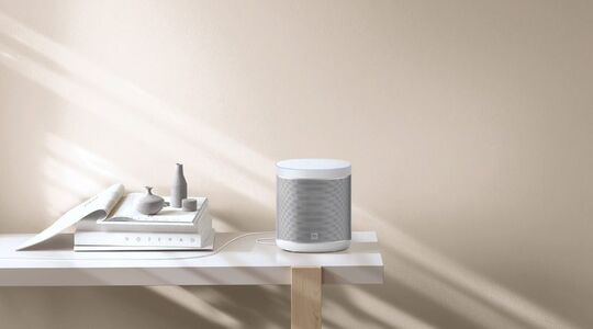 draadloze speaker xiaomi smart speaker lidl