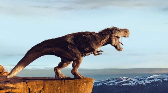 Cradles :Origin of Species