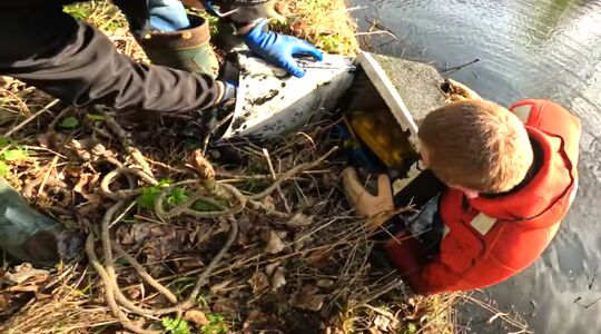 magneetvisser amsterdam