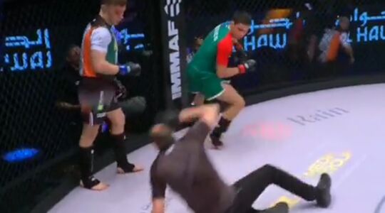 MMA-vechter scheidsrechter