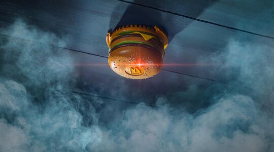 McDonald's rookmelder