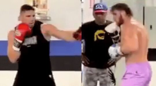 Rico Verhoeven Logan Paul