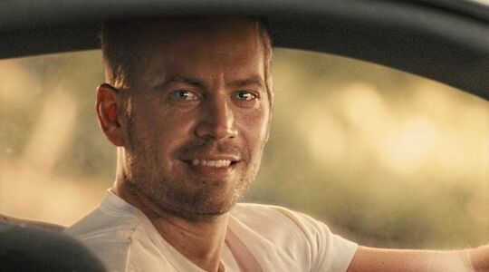 Skyline Walker auto te koop