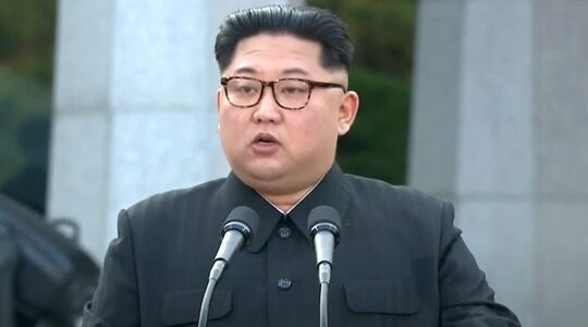 grootte noord koreaanse leger