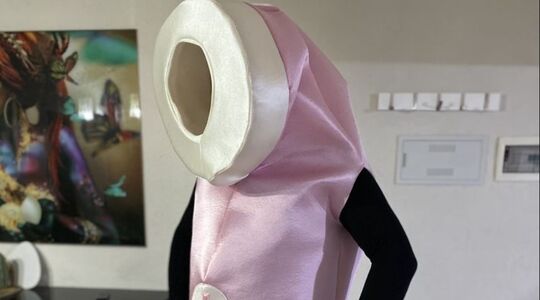 satisfyer kostuum carnaval 2023