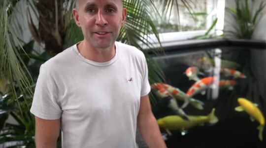 andy corry koivijver