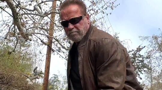 arnold schwarzenegger reparatie