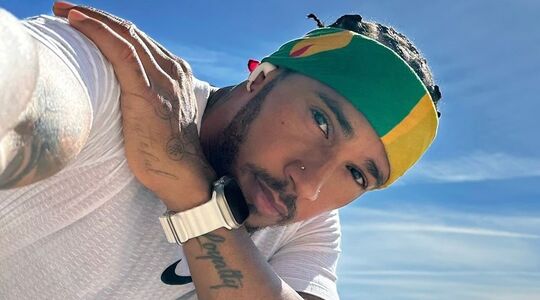 lewis hamilton petitie