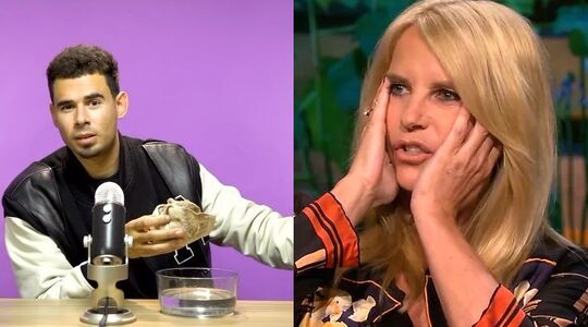 frank b fiscalist van de sterren