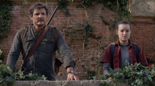 Illustratie voor: Geliefde serie, The Last of Us, heeft seizoen 2 aangekondigd