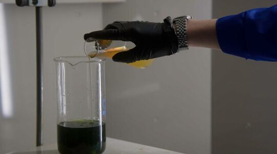 Langst durende experiment ooit