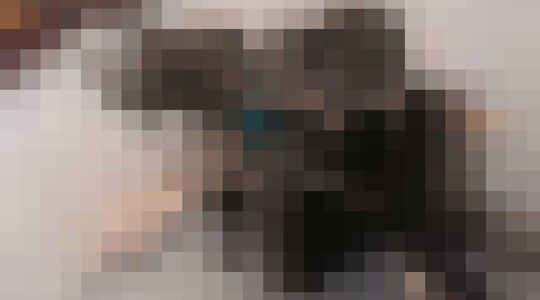 Illustratie voor: De AR-15 Mall ninja tactical zombie destroyer!