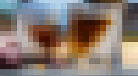 Illustratie voor: Dit is een musthave voor iedere whiskyliefhebber die z’n dram graag koud drinkt