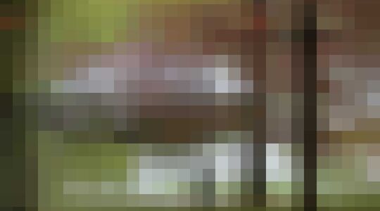 Illustratie voor: De Dom’Up is een next level boomhut!