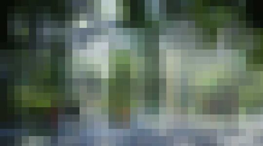 Illustratie voor: Volgend jaar komt in Dubai een hotel met indoor regenwoud!