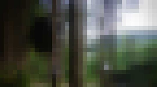 suspended-tree-tent-by-luminair-0