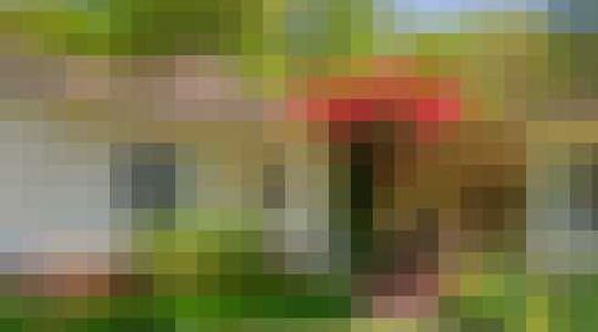 Illustratie voor: Drake koopt huis van buren zodat niemand zeikt over geluidsoverlast