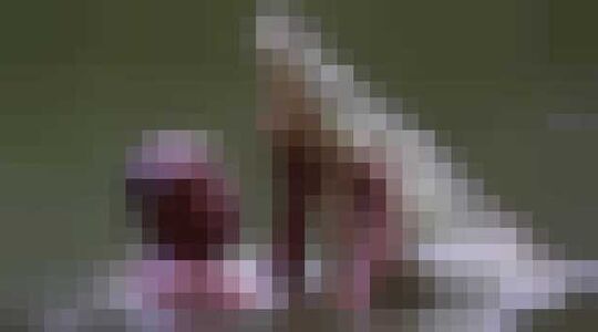 Illustratie voor: Krokodil is beste vriendjes met deze man