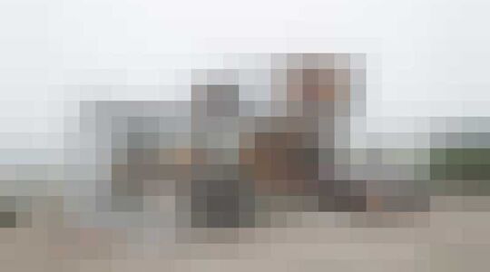 Illustratie voor: Dit gave huis is behoooorlijk mannelijk!