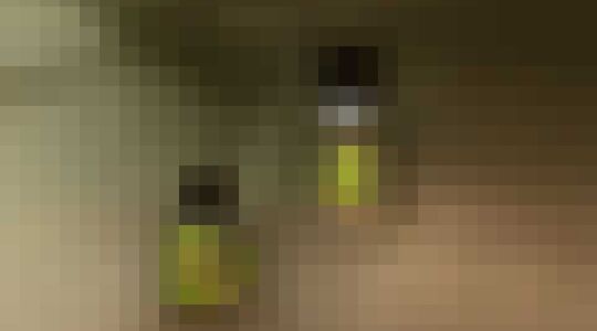 Illustratie voor: Deze planten in een lamp hoef je geen water te geven!