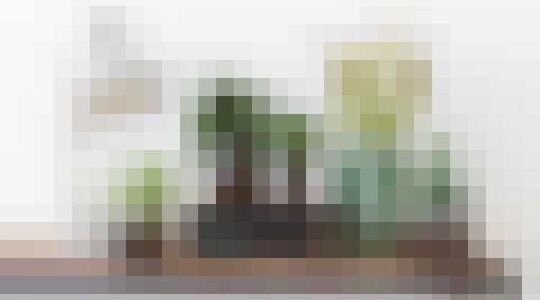 Illustratie voor: Planten geven je meer Sexappeal!