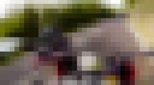 Illustratie voor: Motorrijder Max Wrist gaat weer als een gek los op de openbare weg