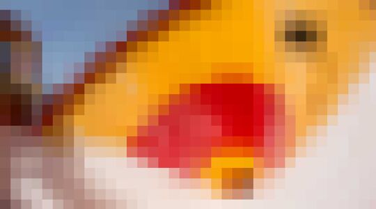 Illustratie voor: Vet: snowboarden in een leeg waterpark!