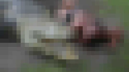 Illustratie voor: Deze man heeft een ongelofelijke vriendschap met een gigantische krokodil