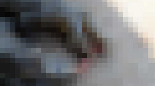 crocodile-blood-croc-eating-meat