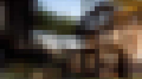 Illustratie voor: Droomhuis in Mexico City midden in de natuur