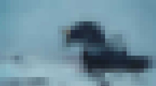 Illustratie voor: Man stopt met werk en leeft voor 6 maanden uit zijn Land Rover Defender