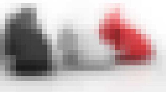 waverly labs oortjes