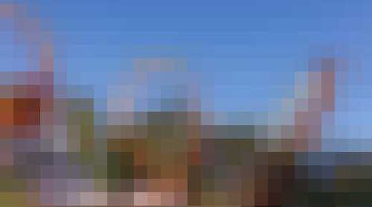 Illustratie voor: De droomvacature van deze zomer: Achtbaantester Nederland