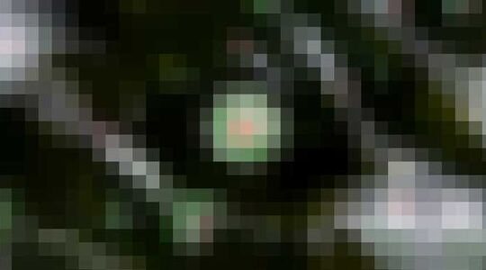 Heineken brouwerij Dubai