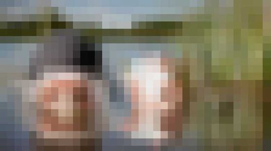 Illustratie voor: Deze man heeft $ 15,000,000 (!!) verdiend met het opduiken van golfballen