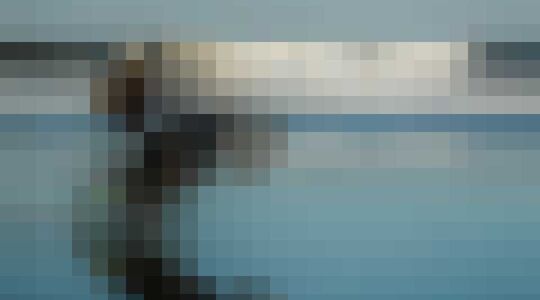 Illustratie voor: Deze Deus ex Machina is de perfecte beach cruiser!