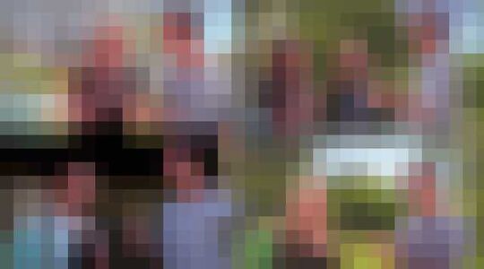 Illustratie voor: Aryia stelt de vraag der vragen; Does size matter?