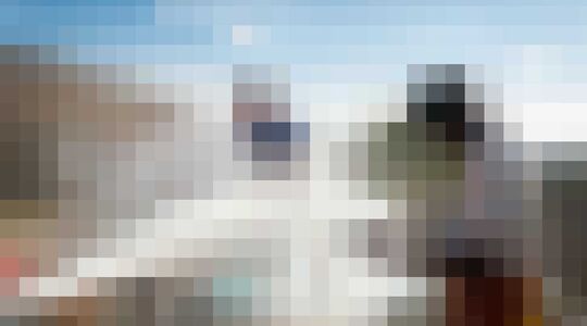 Johnny Knoxville Action Point