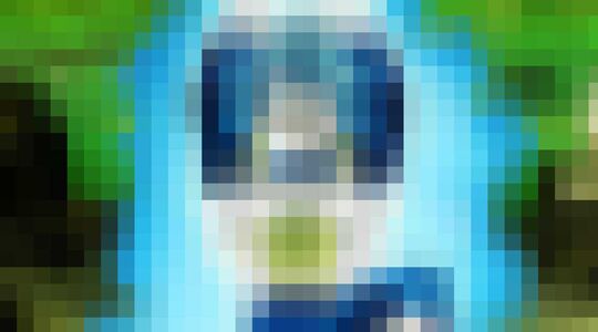 Terugkeer van Dragon Ball Super Gewoonvoorhem