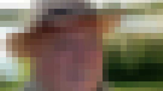 woning van peter gillis