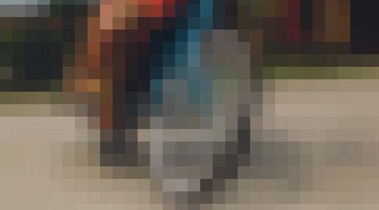 Fiets Portal Bike Nepal